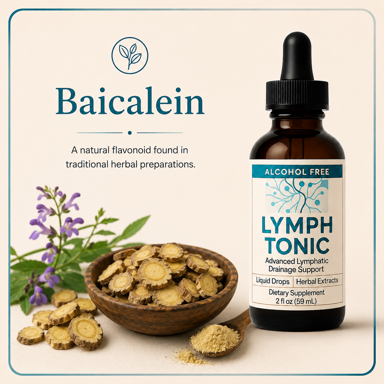 Lymph Tonic ingredient Baicalein